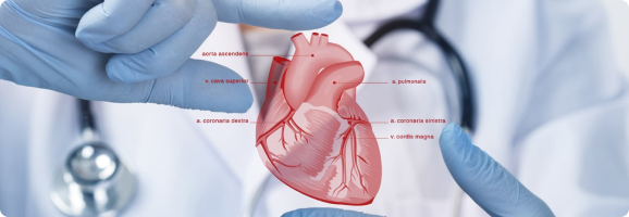 Cardiology Department